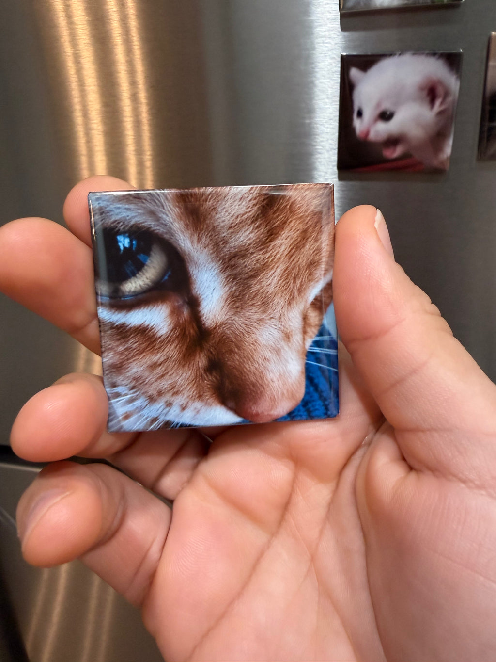 Custom Photo Magnets