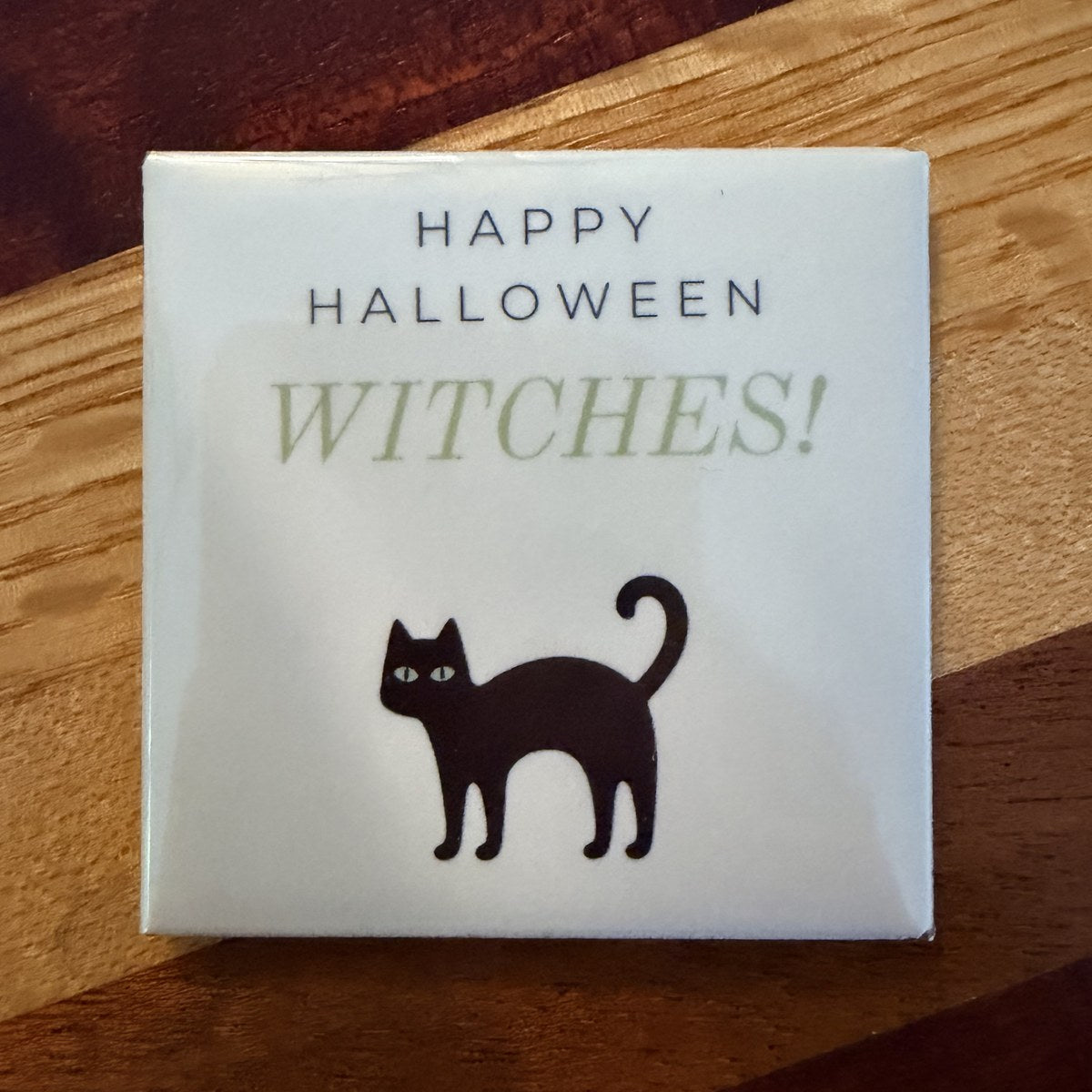 Happy Halloween Witches! Magnet